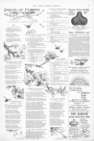 Jonquil and the Rose, The