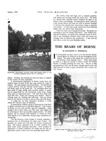 Bears of Berne, The