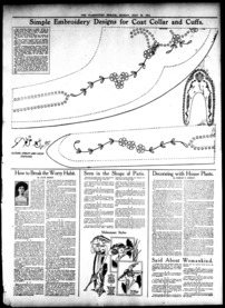 Decorating with House Plants