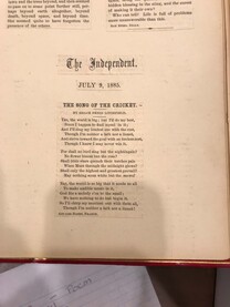 Song of the Cricket, The