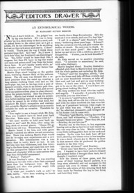 Entomological Wooing, An